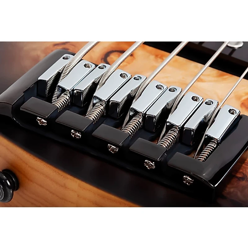 Schecter Guitar Research Reaper-5 5-String Electric Bass Guitar Satin Charcoal Burst