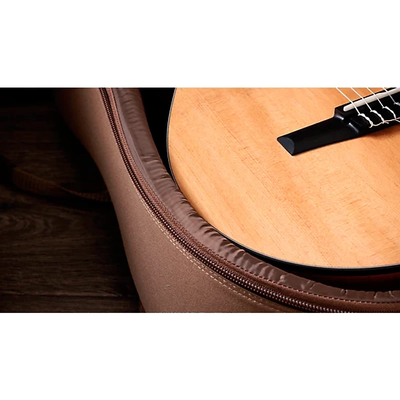 Taylor 112ce-N Grand Concert Nylon-String Acoustic-Electric Guitar Natural