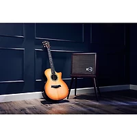 Taylor PS14c Brazilian Rosewood 50th Anniversary Limited-Edition Grand Auditorium Acoustic-Electric Guitar With Matching Circa 74 Amp Honey Sunburst