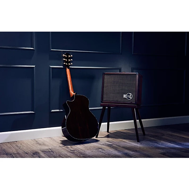 Taylor PS14c Brazilian Rosewood 50th Anniversary Limited-Edition Grand Auditorium Acoustic-Electric Guitar With Matching Circa 74 Amp Honey Sunburst