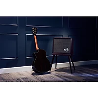 Taylor PS14c Brazilian Rosewood 50th Anniversary Limited-Edition Grand Auditorium Acoustic-Electric Guitar With Matching Circa 74 Amp Honey Sunburst