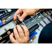 Taylor PS14c Brazilian Rosewood 50th Anniversary Limited-Edition Grand Auditorium Acoustic-Electric Guitar With Matching Circa 74 Amp Honey Sunburst