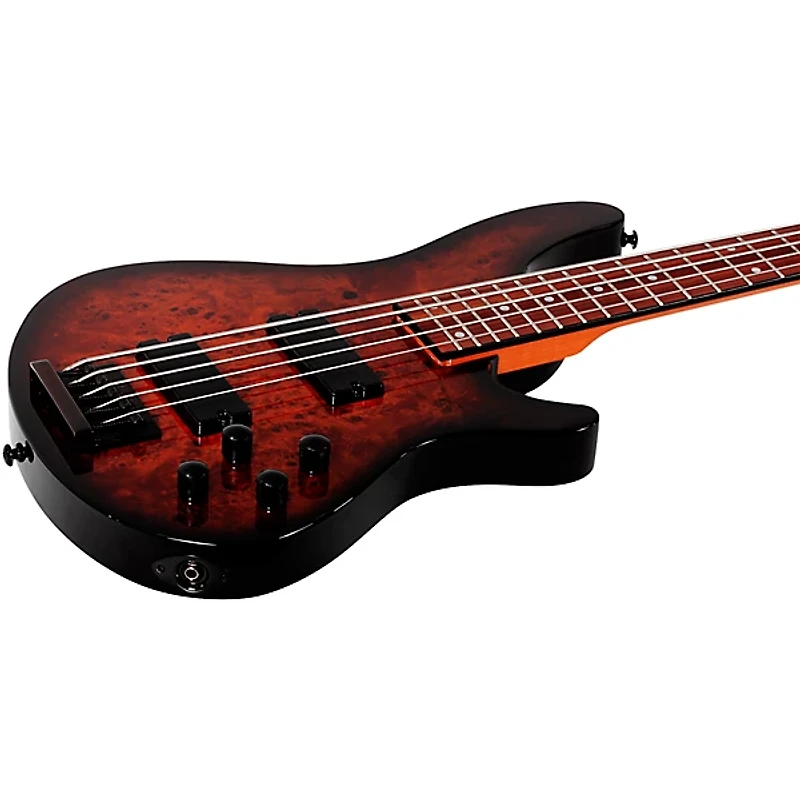 Schecter Guitar Research C-5 Standard 5-String Electric Bass Guitar