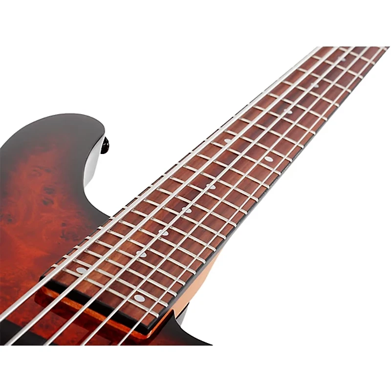 Schecter Guitar Research C-5 Standard 5-String Electric Bass Guitar