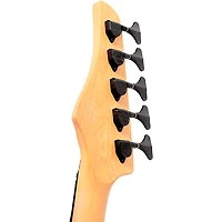 Schecter Guitar Research C-5 Standard 5-String Electric Bass Guitar