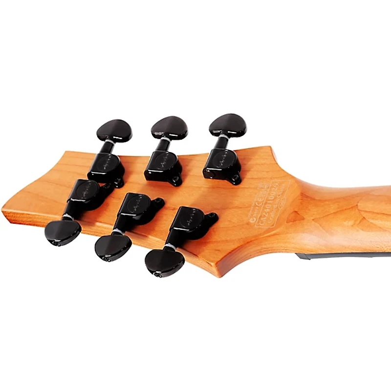 Schecter Guitar Research C-1 Standard Electric Guitar