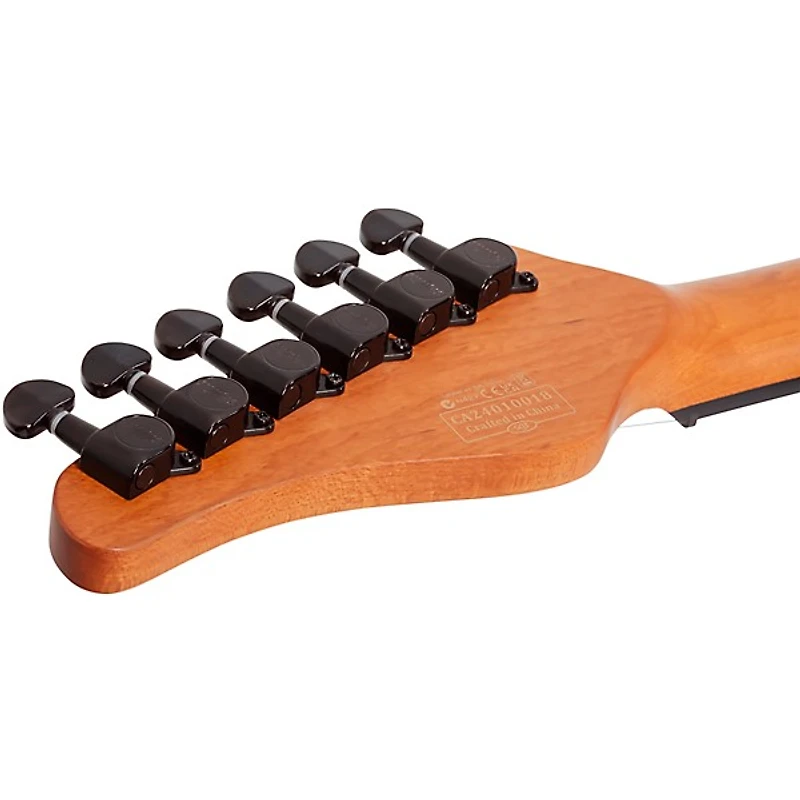 Schecter Guitar Research PT Standard Electric Guitar