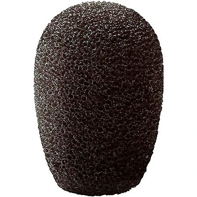 Point Source Audio Windscreen for CM-i5