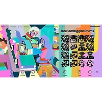 Native Instruments Komplete 15 Standard Upgrade from S-Series Mk3