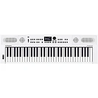 Roland GO:KEYS5 Music Creation Keyboard Essentials Bundle