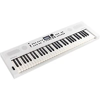 Roland GO:KEYS5 Music Creation Keyboard Essentials Bundle