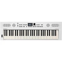 Roland GO:KEYS5 Music Creation Keyboard Essentials Bundle