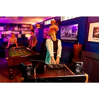 AlphaTheta DDJ-FLX2 Entry-Level DJ Controller for rekordbox and Serato Black