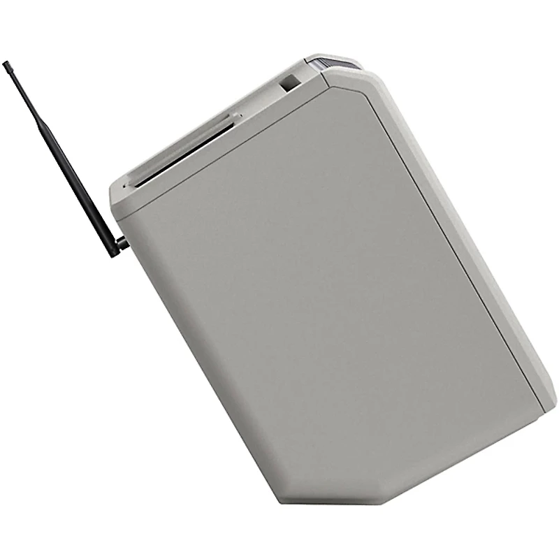 LD Systems ANNY 8 Portable 8" Battery-Powered Speaker With Wireless Headset Mic