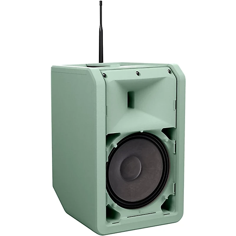 LD Systems ANNY 8 Portable 8" Battery-Powered Speaker With Wireless Handheld Mic, Adventure Green