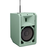 LD Systems ANNY 8 Portable 8" Battery-Powered Speaker With Wireless Handheld Mic, Adventure Green