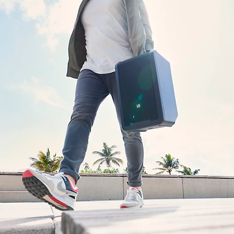 LD Systems ANNY 8 Portable 8" Battery-Powered Speaker With Wireless Handheld Mic, Adventure Green