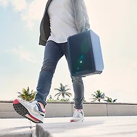 LD Systems ANNY 8 Portable 8" Battery-Powered Speaker With Wireless Handheld Mic, Adventure Green