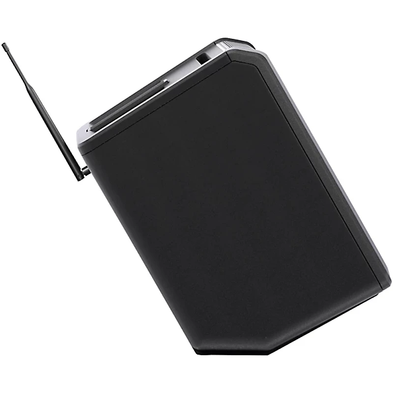 LD Systems ANNY 8 Portable 8" Battery-Powered Speaker With Wireless Handheld Mic