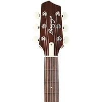 LR Baggs AEG-1 Sitka Spruce Dreadnought Acoustic-Electric Guitar Sunburst