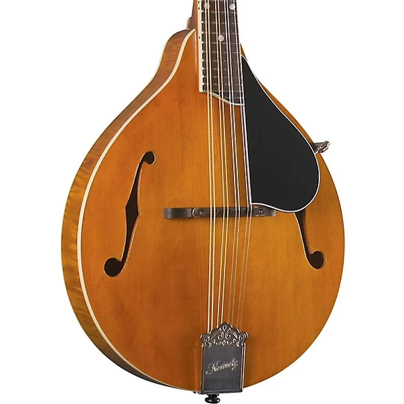 Kentucky KM-252 Deluxe A-Style Mandolin Transparent Amber
