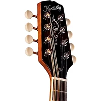 Kentucky KM-272 Deluxe Oval Hole A-Style Mandolin Transparent Amber