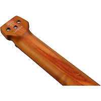 Ibanez Manuel Gardner Fernandes Signature Electric Guitar Obsidian Black Low Gloss