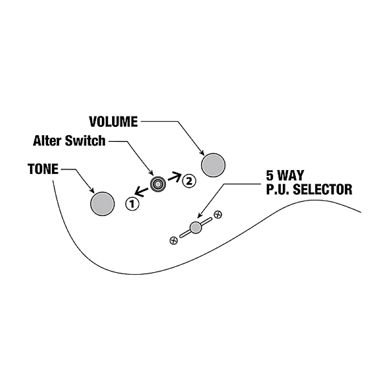Ibanez Manuel Gardner Fernandes Signature Electric Guitar Obsidian Black Low Gloss