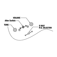 Ibanez Manuel Gardner Fernandes Signature Electric Guitar Obsidian Black Low Gloss