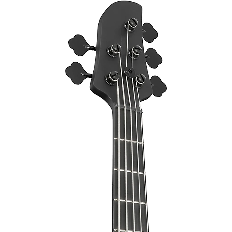 Ibanez TMB425B 5-String Electric Bass Guitar Black Flat