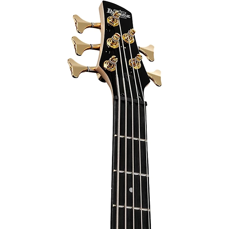 Ibanez GSR205PC 5-String Electric Bass Guitar