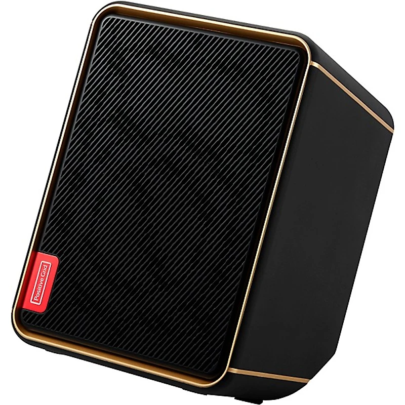 Positive Grid Spark EDGE Portable 4-Channel Smart Amp & PA Black