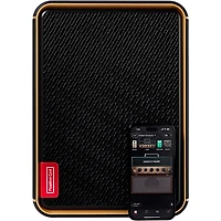 Positive Grid Spark EDGE Portable 4-Channel Smart Amp & PA Black