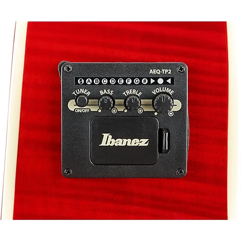 Ibanez AE170 Grand Auditorium Acoustic-Electric Guitar Natural