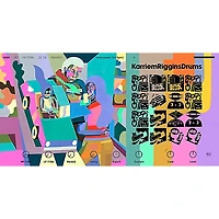 Native Instruments KOMPLETE 15 Standard Upgrade for KSelect DL