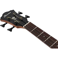 Ibanez AEGB25E Grand Concert Acoustic-Electric Bass Guitar Transparent Black Sunburst