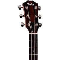 Taylor 414ce Studio Grand Auditorium Acoustic-Electric Guitar