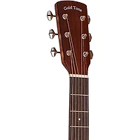 Gold Tone GT-Dread All Solid Wood Dreadnought Acoustic-Electric Guitar