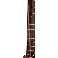 Gold Tone GT-Dread All Solid Wood Dreadnought Acoustic-Electric Guitar