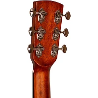Gold Tone GT-Dread All Solid Wood Dreadnought Acoustic-Electric Guitar