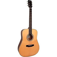 Gold Tone GT-Dread All Solid Wood Dreadnought Acoustic-Electric Guitar