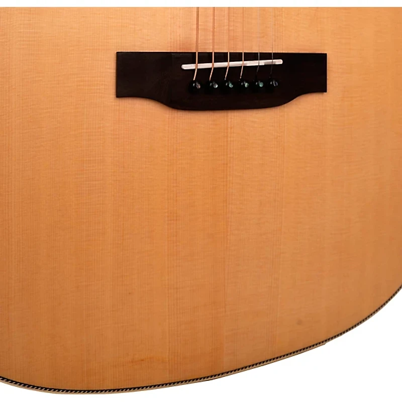 Gold Tone GT-Dread All Solid Wood Dreadnought Acoustic-Electric Guitar
