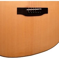 Gold Tone GT-Dread All Solid Wood Dreadnought Acoustic-Electric Guitar