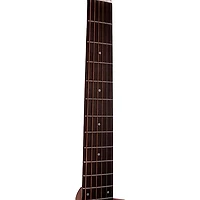 Gold Tone GT-Dread All Solid Wood Dreadnought Acoustic-Electric Guitar