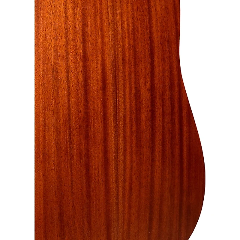 Gold Tone GT-Dread All Solid Wood Dreadnought Acoustic-Electric Guitar