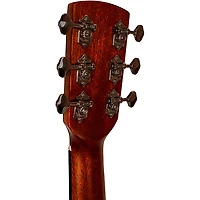 Gold Tone GT-Dread All Solid Wood Dreadnought Acoustic-Electric Guitar