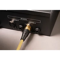 Warm Audio Premier Series Studio & Live XLR Microphone Cable 15 ft. Gold