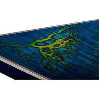 Schecter Guitar Research E-1 Electro-Resin Electric Guitar Transparent Blue