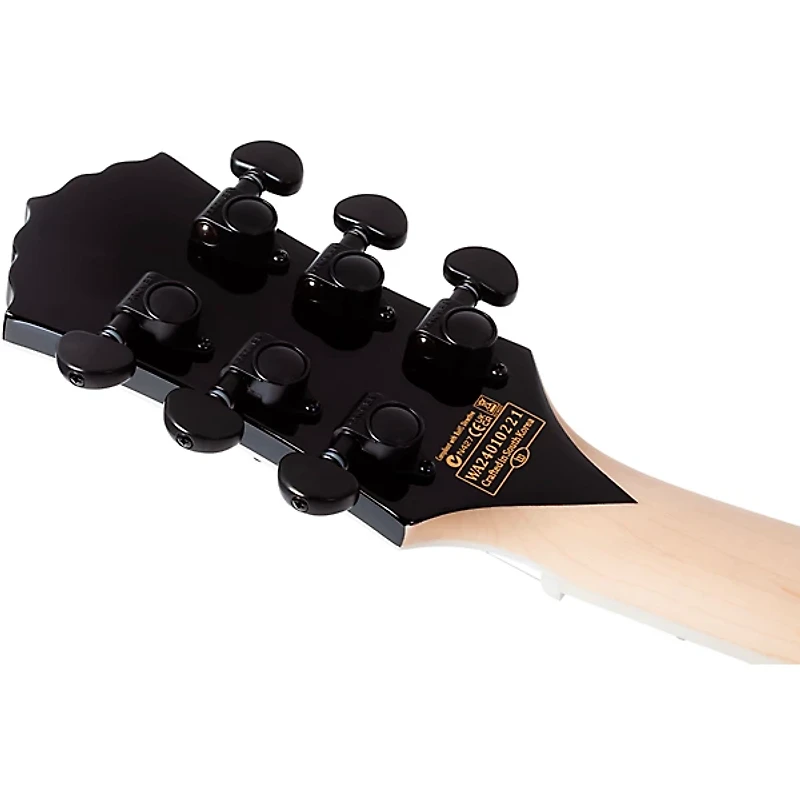 Wylde Audio Barbarian Electric Guitar Blood Raven