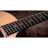 Taylor 354ce 12-String Grand Auditorium Acoustic-Electric Guitar Natural